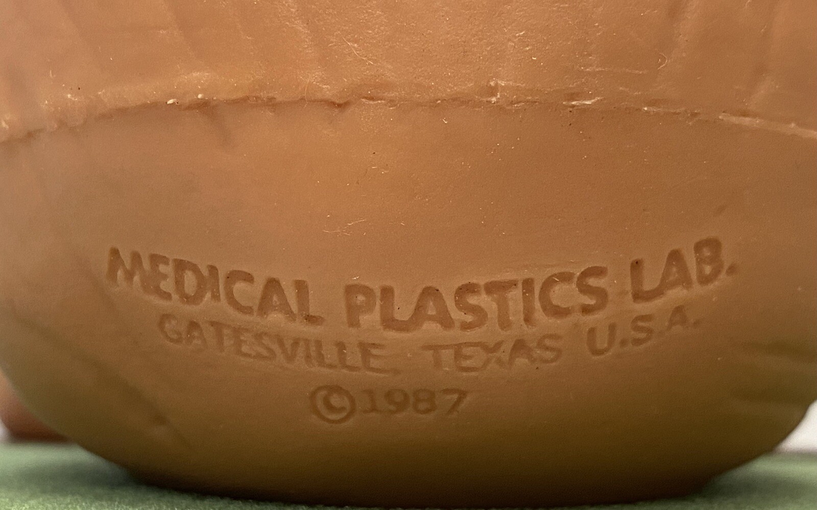 Lot of 5 Medical Plastics Laboratory Parts – Baby Soft Spot, Intestines, Kidney