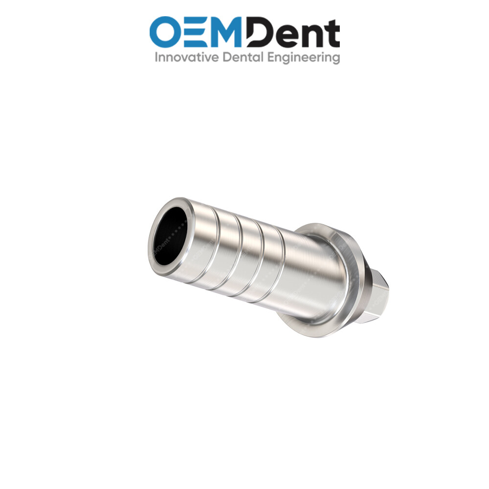 Straight Anatomic Prosthetic – Paltop® Int Hex 2.42mm Compatible