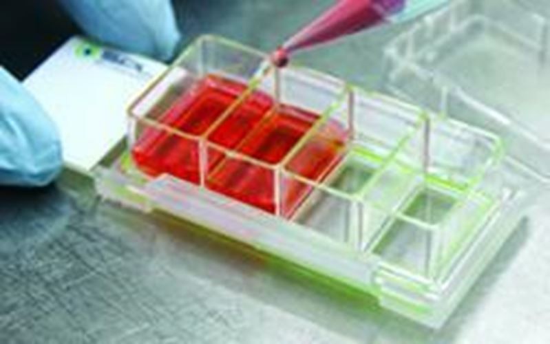 SPL Cell Culture Chamber slide, 2 wells, glass slide, PS frame, PP holder, 12/Cs