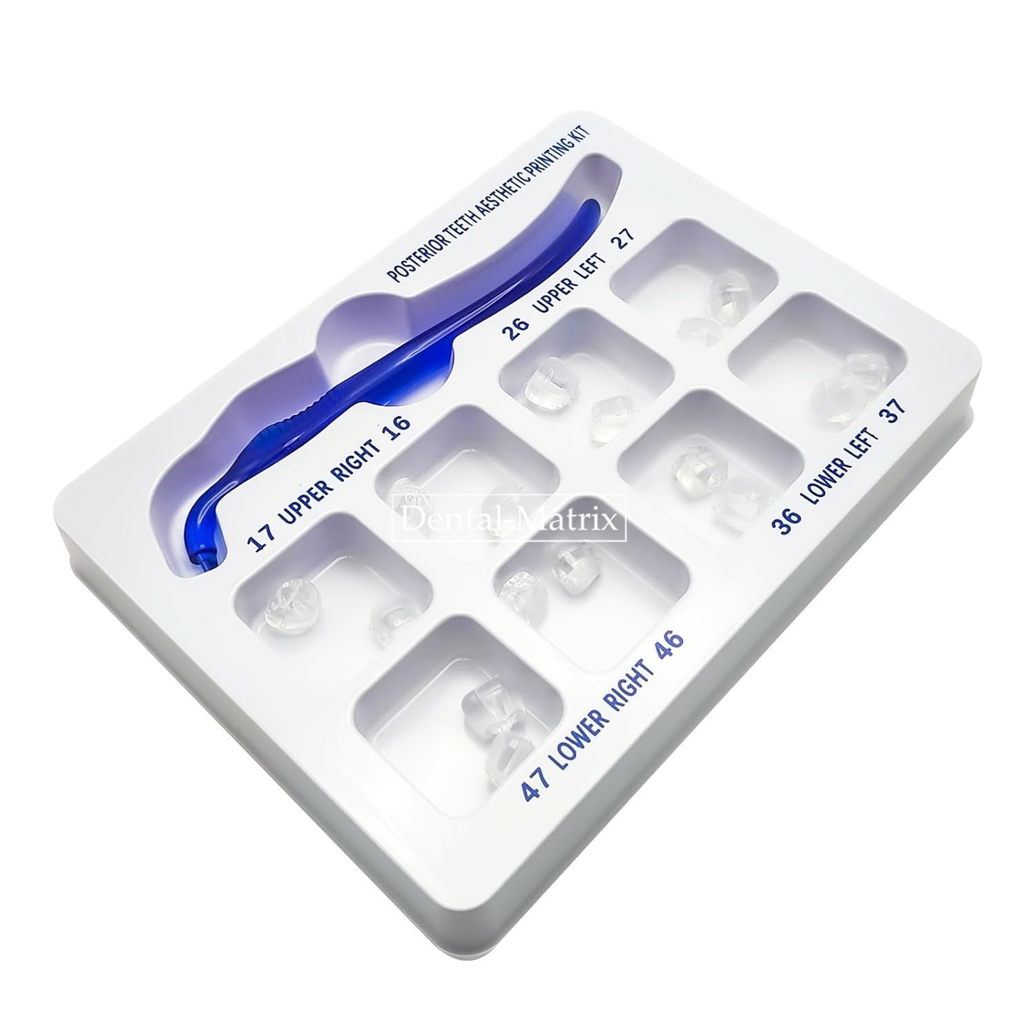 Dental Veneers Mould Composite Resin Anterior Posterior Teeth Molar Restoration