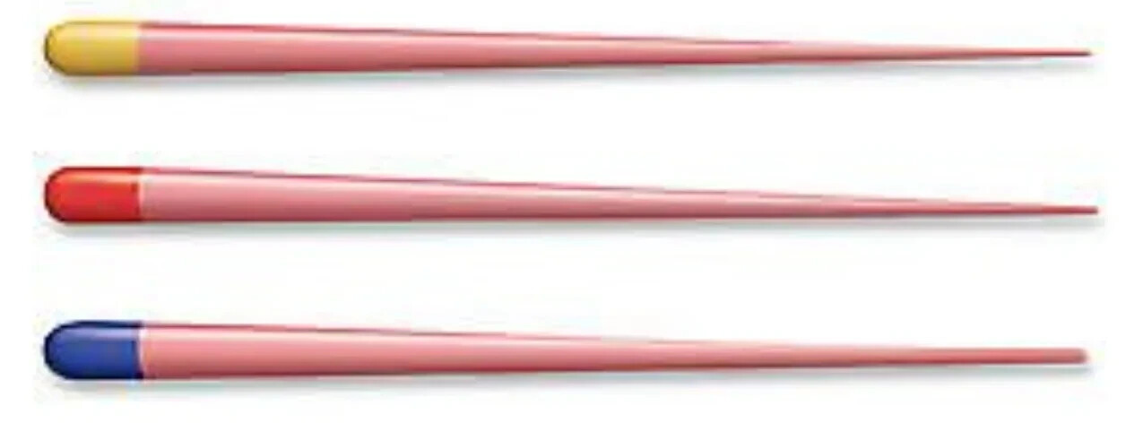 Dentsply Protaper Next Gutta Percha Points (Pack of 60) FREE SHIP