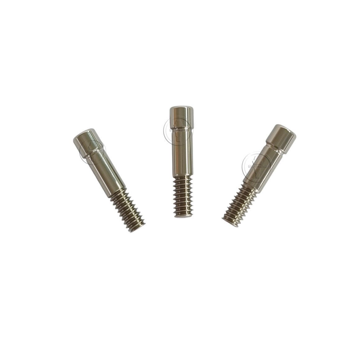 10/20/50/100 Pcs Dental Titanium Abutment Screw Fits Den-tium SuperLine Regular