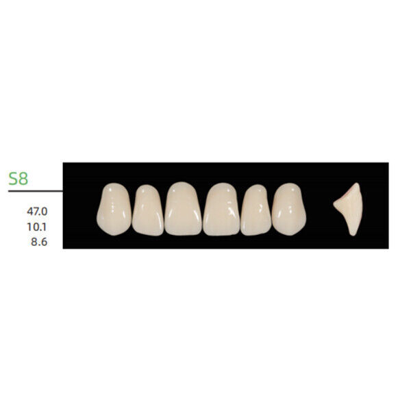 Huge Kaili Synthetic Polymer Teeth Upper Anterior Shade A1 Full Box 16sets/6pcs