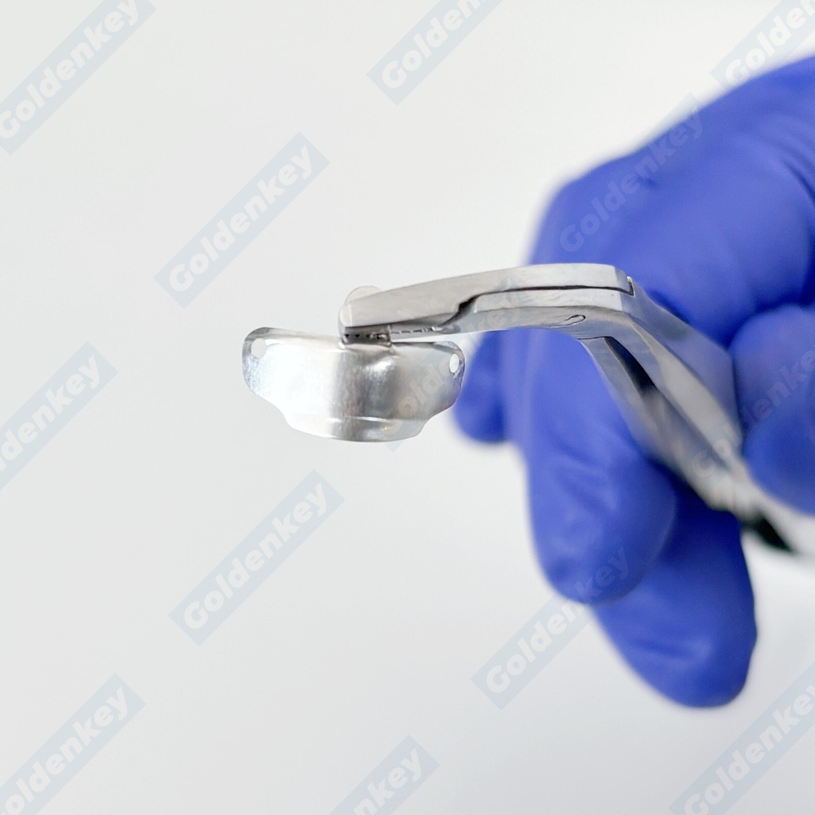 Dental Matrix Forceps Holder Clamp Matrices Tweezer Matrix Bands Placing Plier