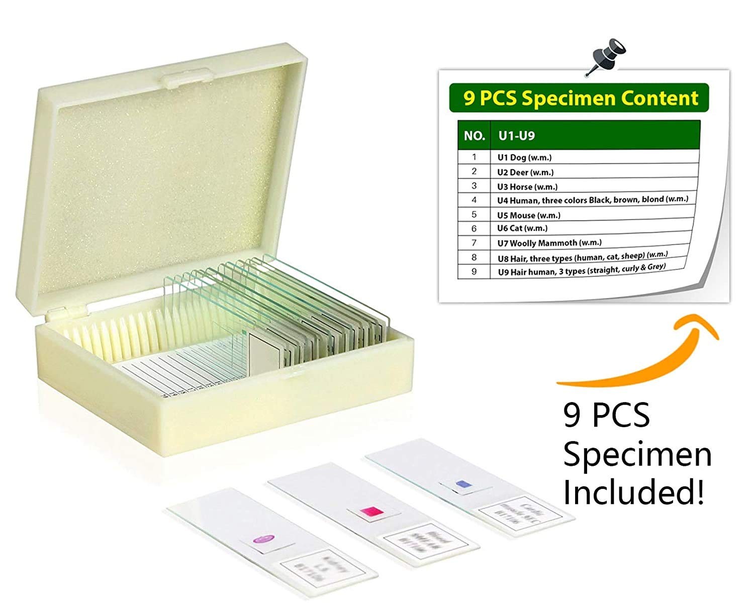 Vision Scientific VSH127 Prepared Slide Set – Hair Type (Set of 9) |…