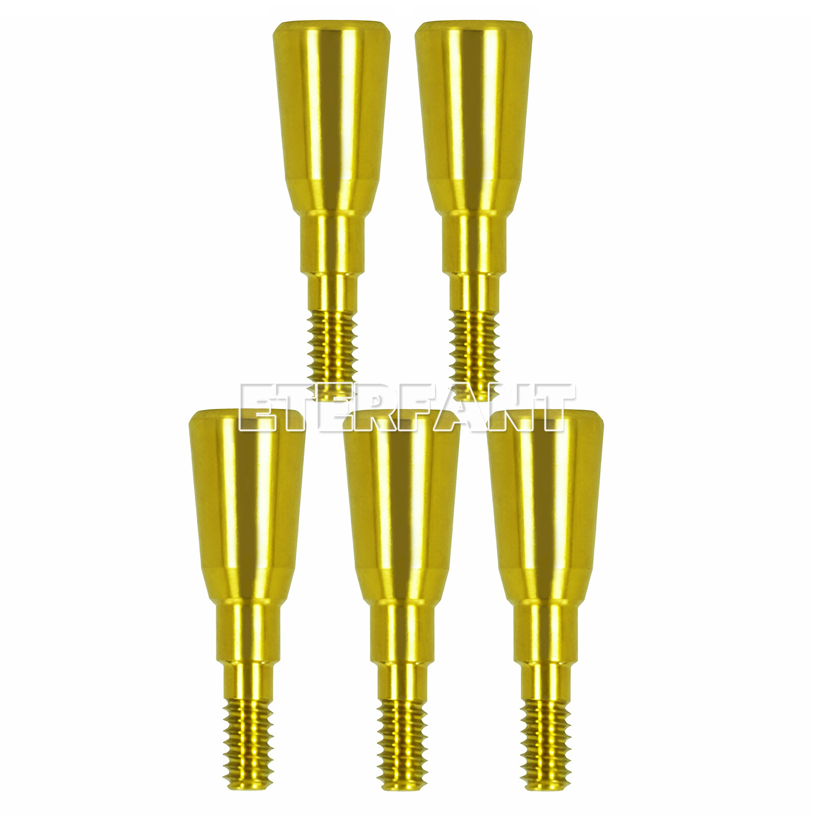 Healing Cap Abutments NC/RC Analog Cover Screw Titanium Fit Straumann ITI BLT