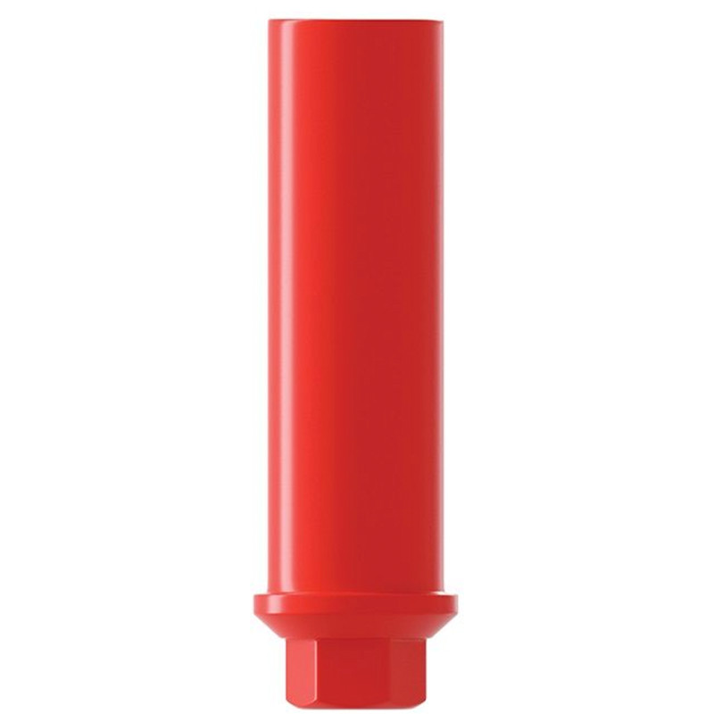 10x Straight Plastic Castable UCLA Prosthetic Int Hex 2.42mm Connection Dental