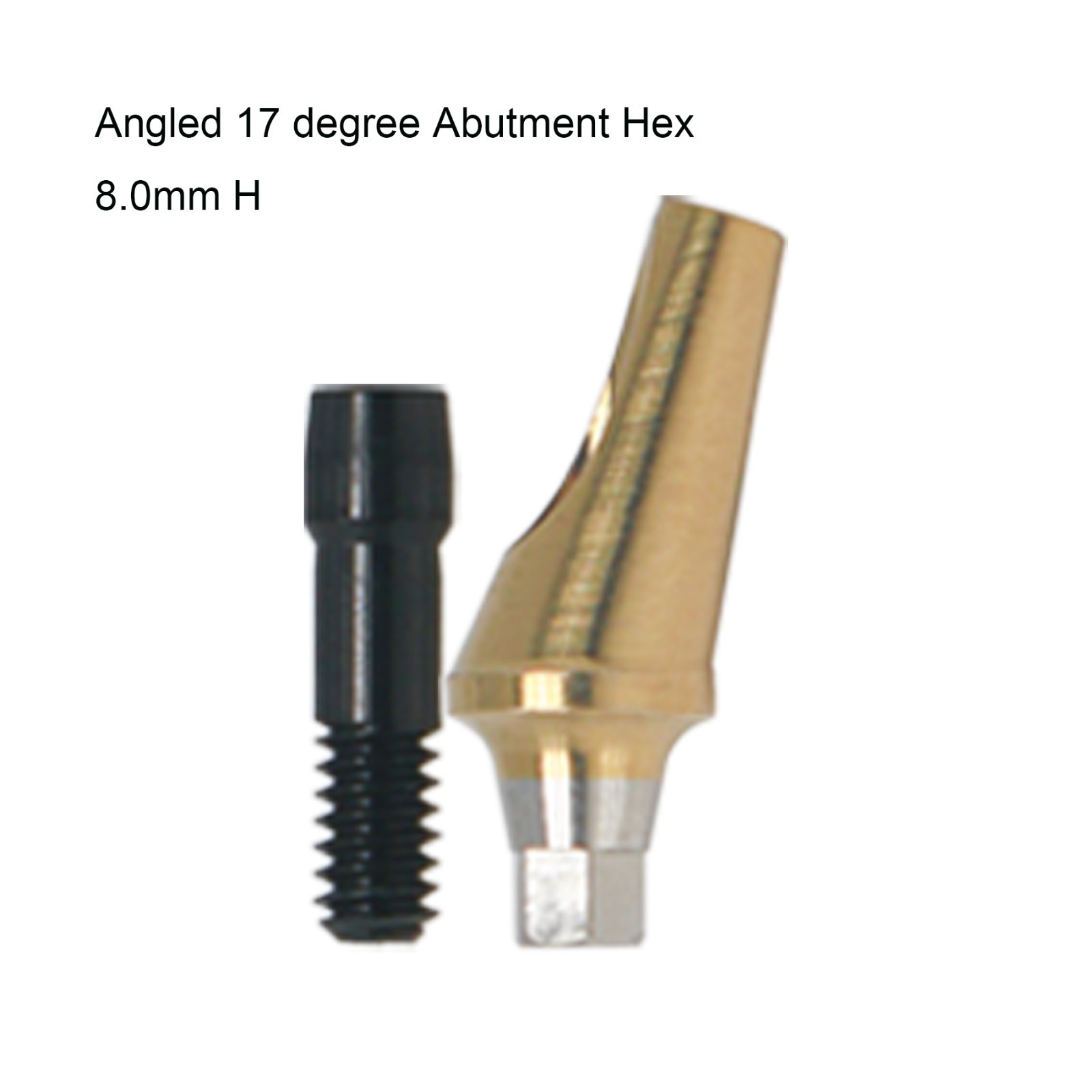 US Dental Prosthetics Angled 17°/Straight Titanium Abutment fit Hiossen ET OSS