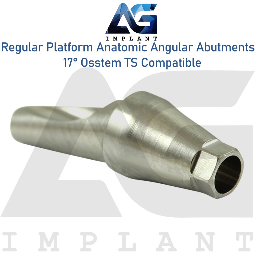 5 Angled Anatomic Abutment 17° 2.5mm Fit Regular Platform Osstem® TS