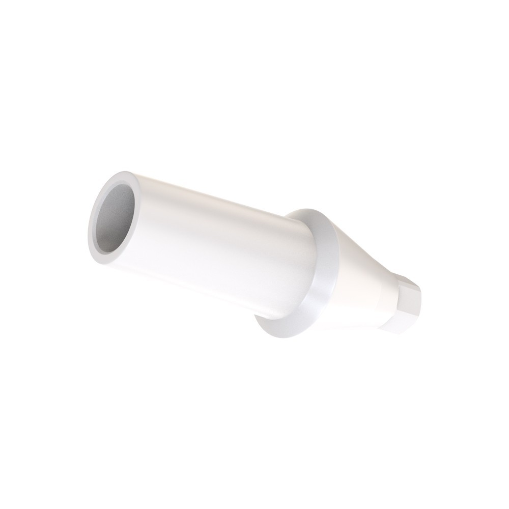 1pcs DSl Straight Abutment Anatomic Peek Conical Connection NP Dental Lab