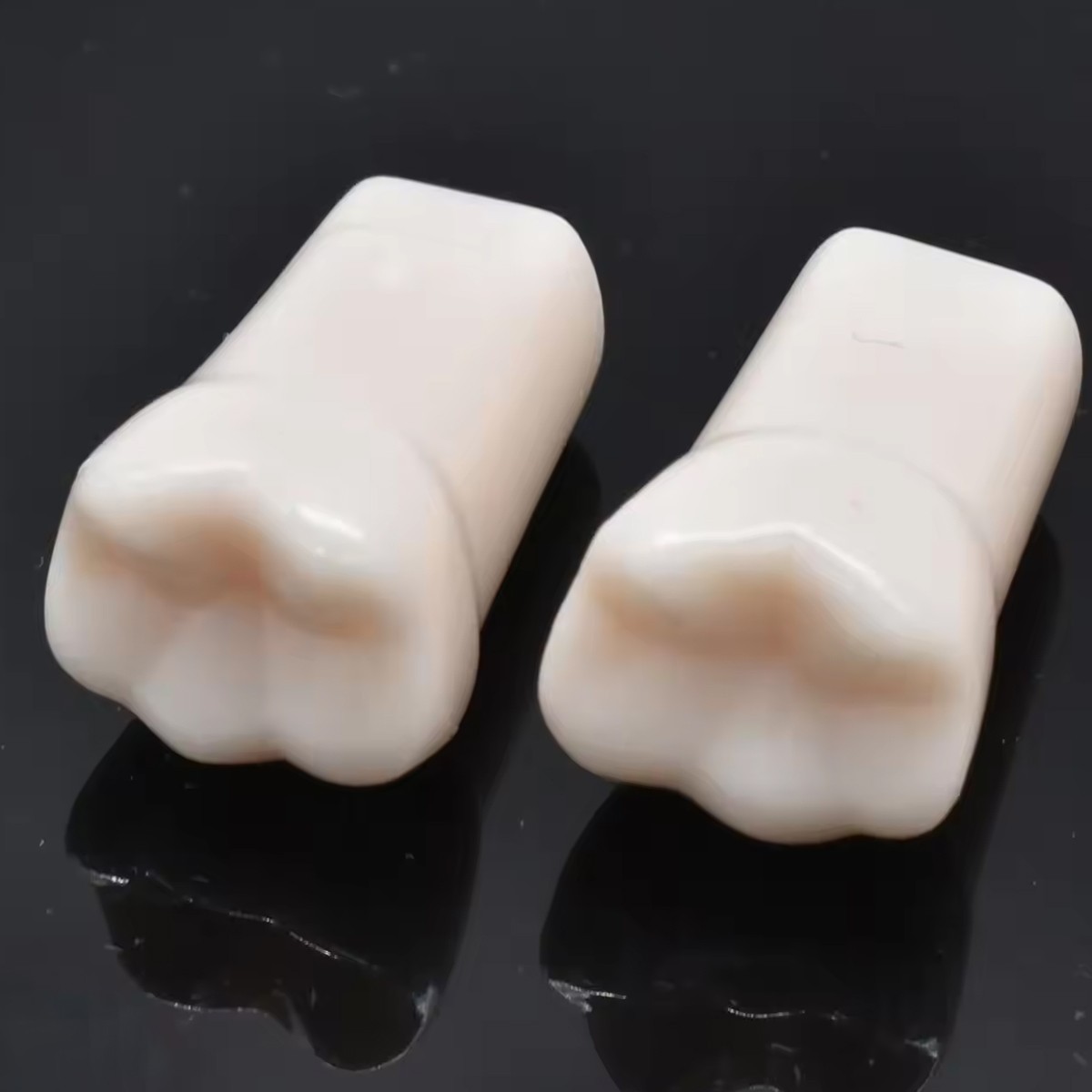 iDENTical Typodonts For Nissin Type Jaw Set TJMA09 – Individual