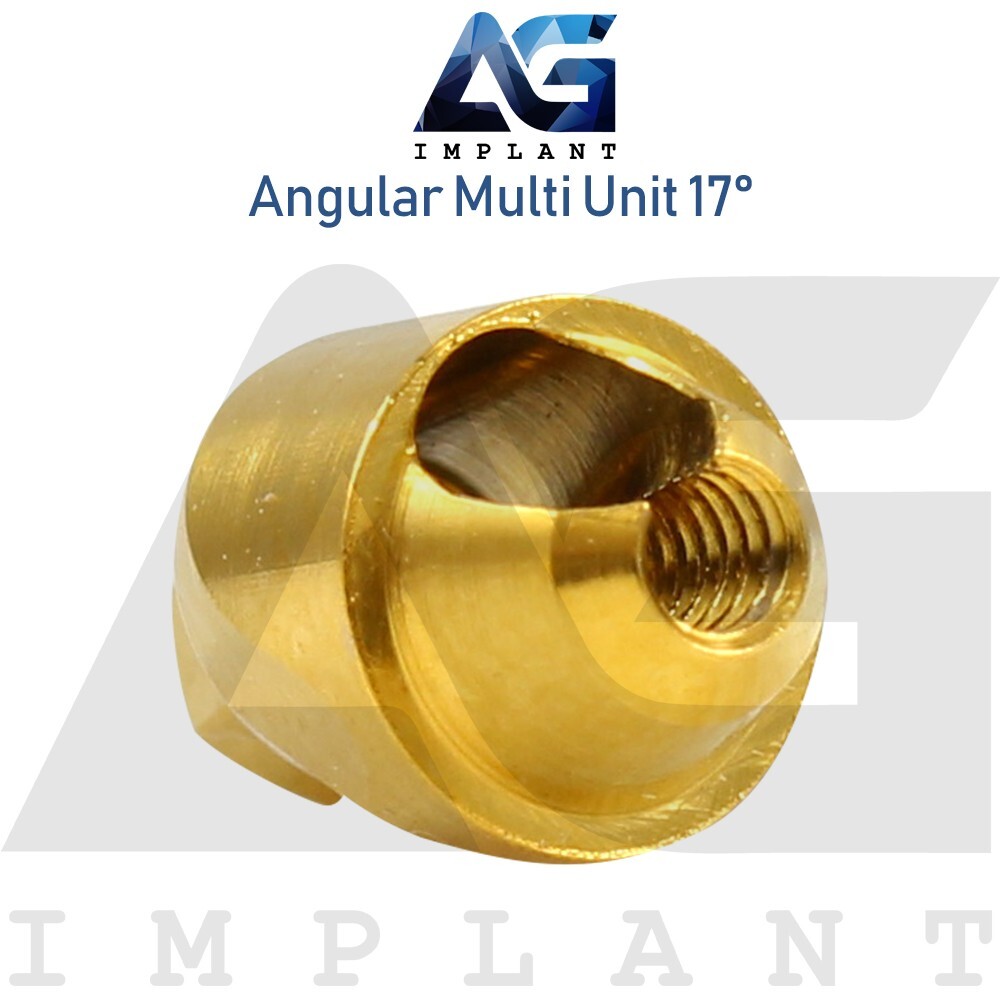 5 Angular Multi Unit 1.6 Prosthetic 17° and Plastic Sleeve With Screw