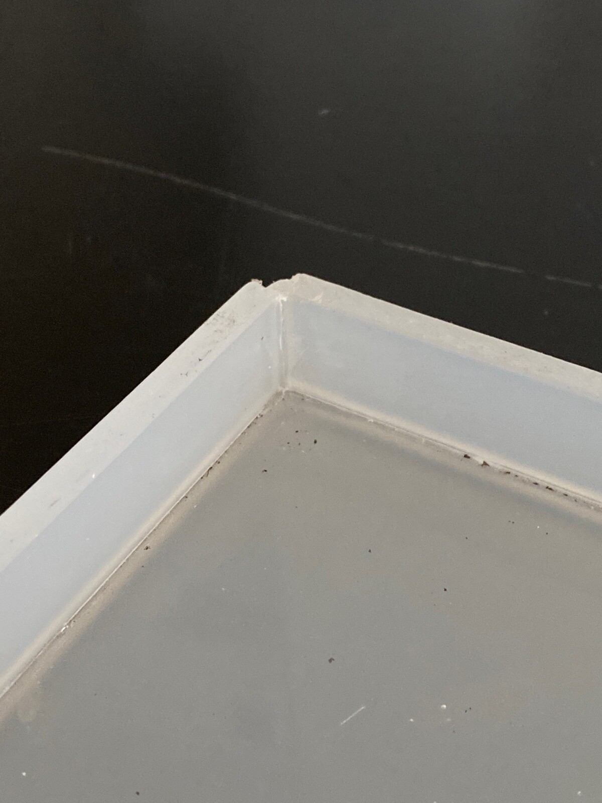 Laboratory Polypropylene Secondary Spill Containment Tray 23-1/2” x 16” x 1″