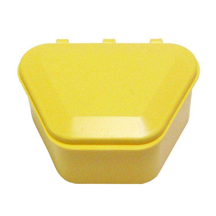 Dental Denture Box Set for Artificial Teeth, Mouth Guard, Night Guard
