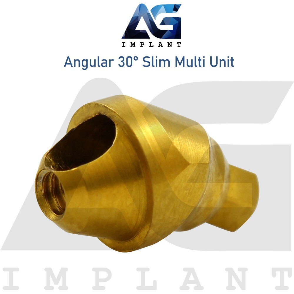 10 Angular Slim Multi Unit 1.6 Prosthetic 30° Int Hex Titanium With Screw