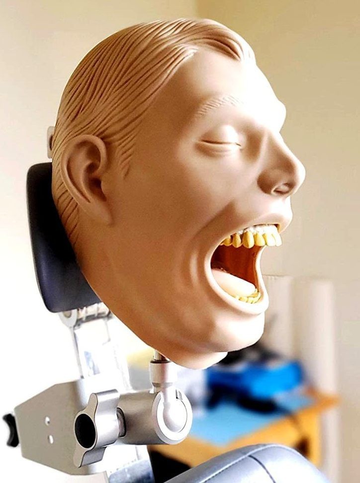 Dental Teeth X-Ray MANIKIN Practice Exam Adult Simulator Training Phantom