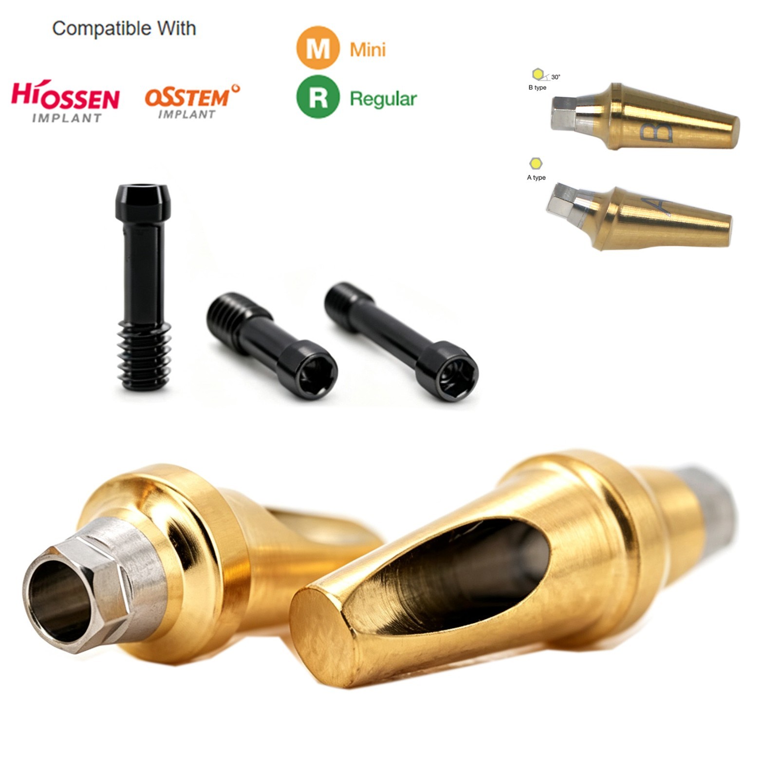 Hiossen ET 17°Angled Abutment Dental Titanium Prosthetic Mini Regular Platform