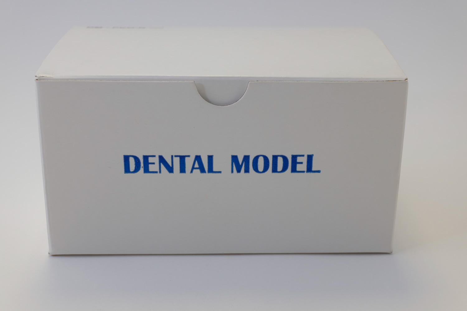 Dental Anatomy Typodont Educational Pediatric Kit Removable Teeth NBDE NERB ADEX