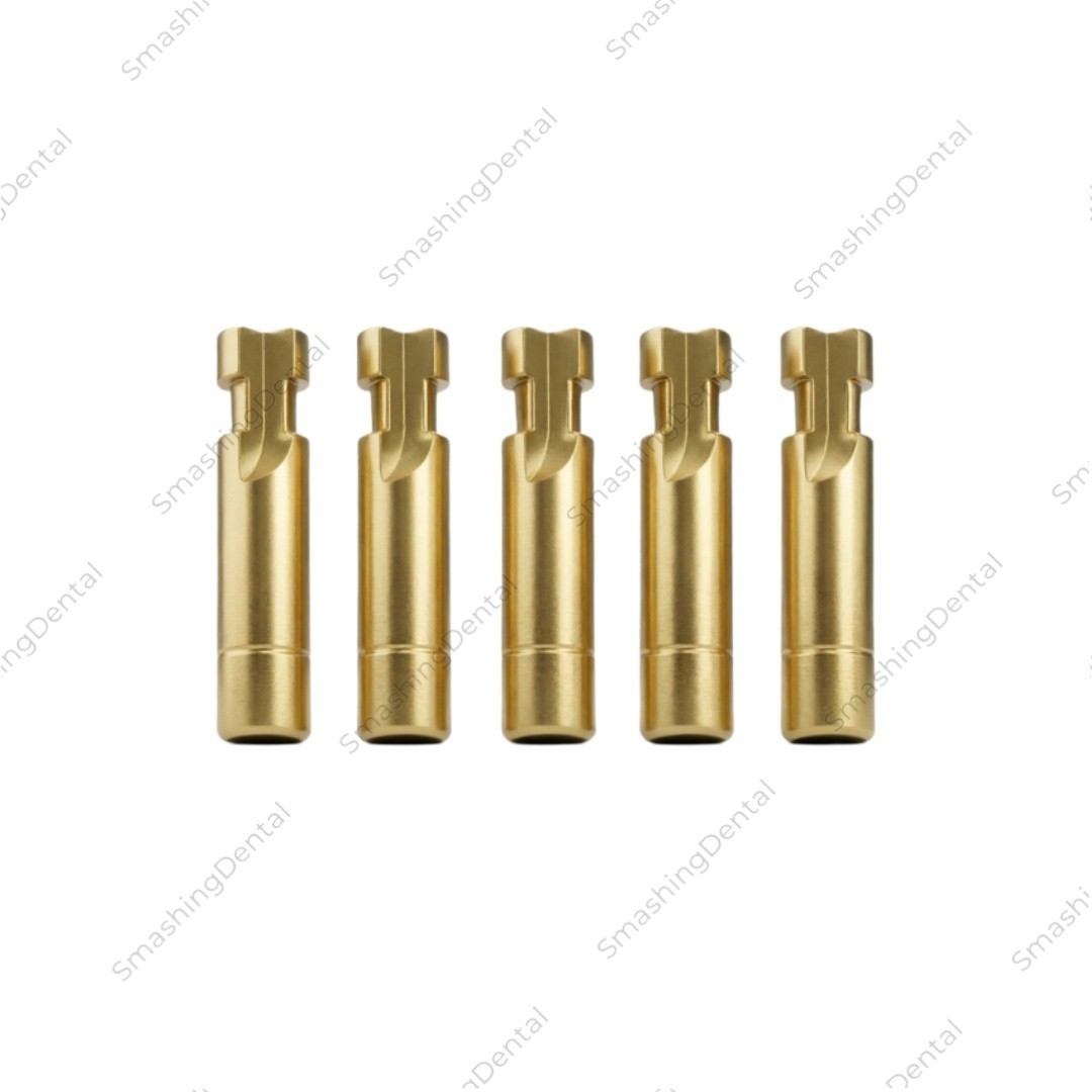 10Pcs Dental Lab Analog Inter Hex Type Fits to Hiossen Osstem Mini Regular