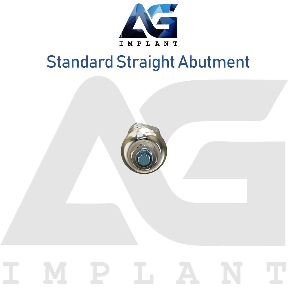 Standard Straight Aesthetic Titanium For Prosthetic System Int Hex 2.42mm