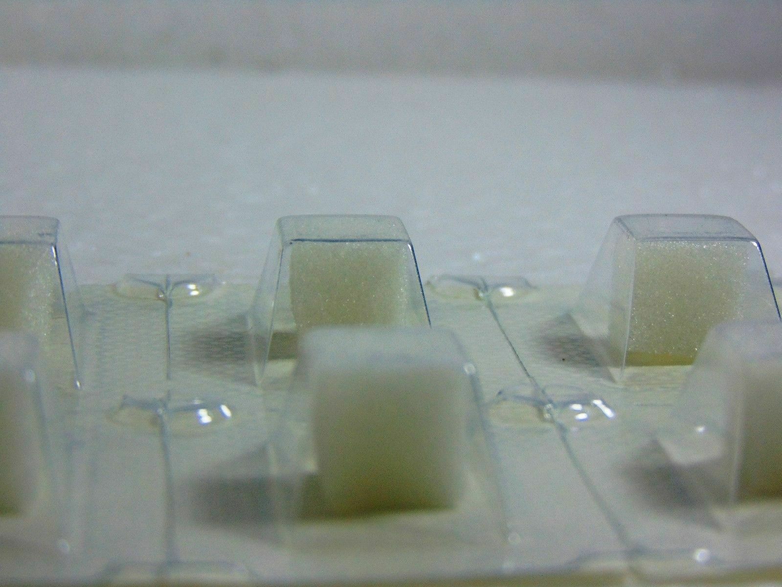 Dental Gelatin Sponges Absorbable Sterile Gelfoam Hemocollagene 32pcs FS LONG EX