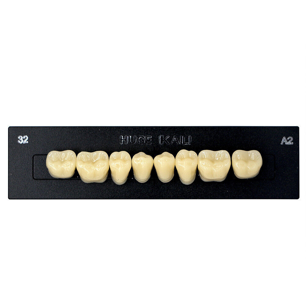 1 Box HUGE KAILI A2 Dental Synthetic Polymer Resin Teeth T6 L6 32 A2 112Pcs/Pack