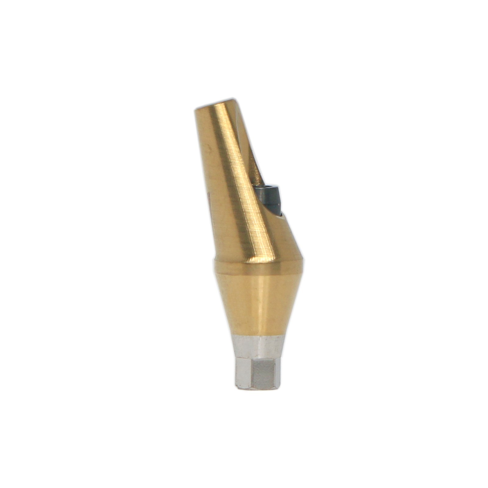 US Dental 17° Angled Anatomic Abutment Mini Ø4.5mm Fit Hiossen Osstem TS