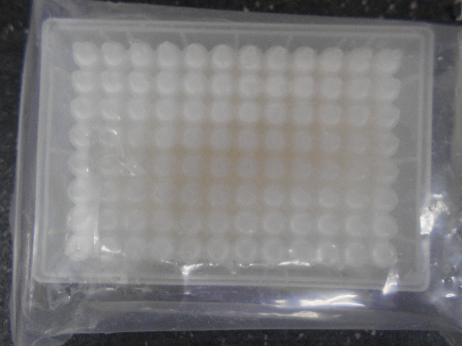 PHENOMENEX 83 S029 AGB S STRATA X C 33µm POLYMERIC STRONG CATION 10mg WELL PLATE