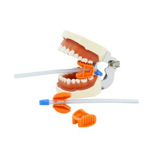 EZ Bite Block Disposable Mouth Prop, 1x Medium (orange), 1x Large (Blue)