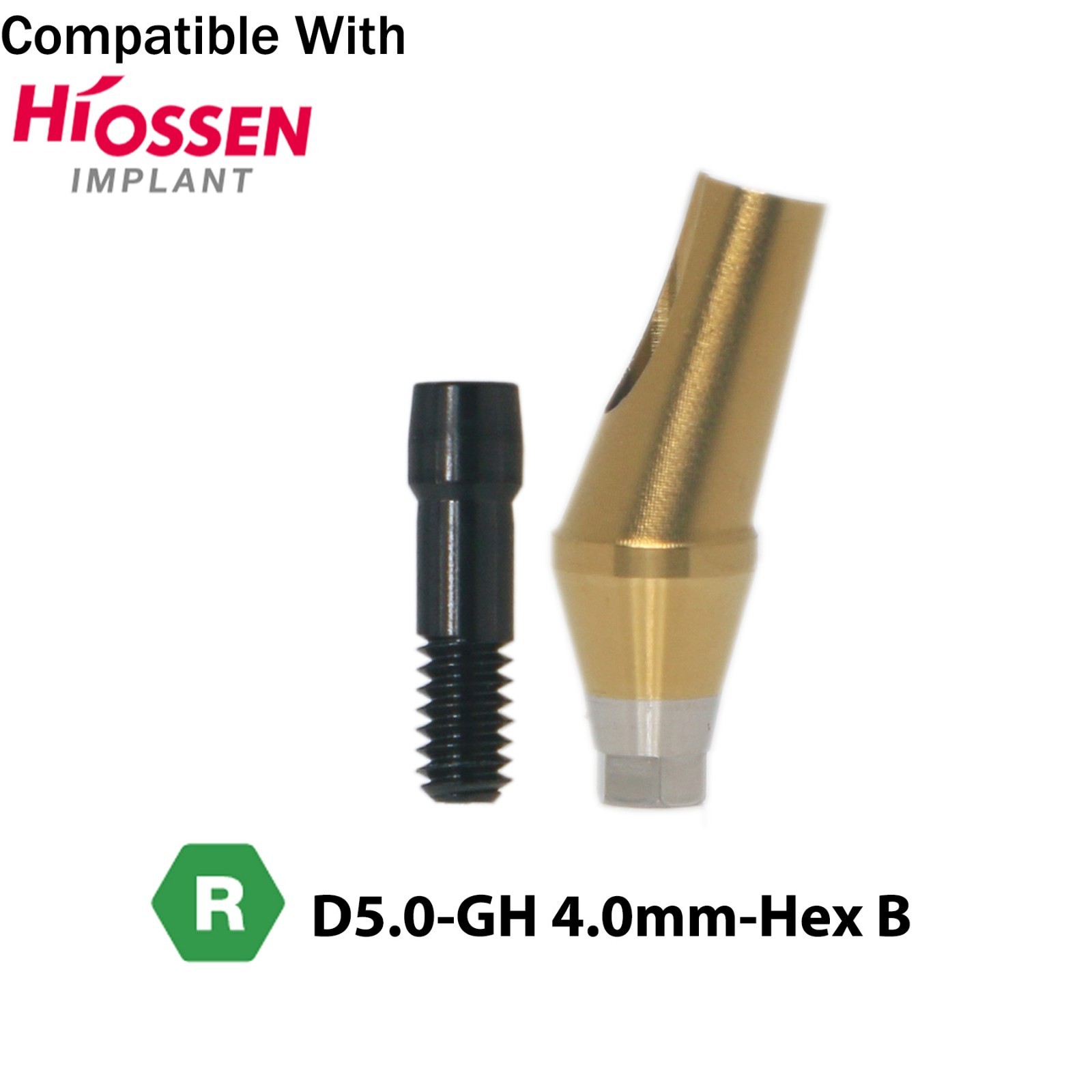 Dental 17° Angled Abutment Anatomic Fits Hiossen Osstem TS Hex Regular Platform