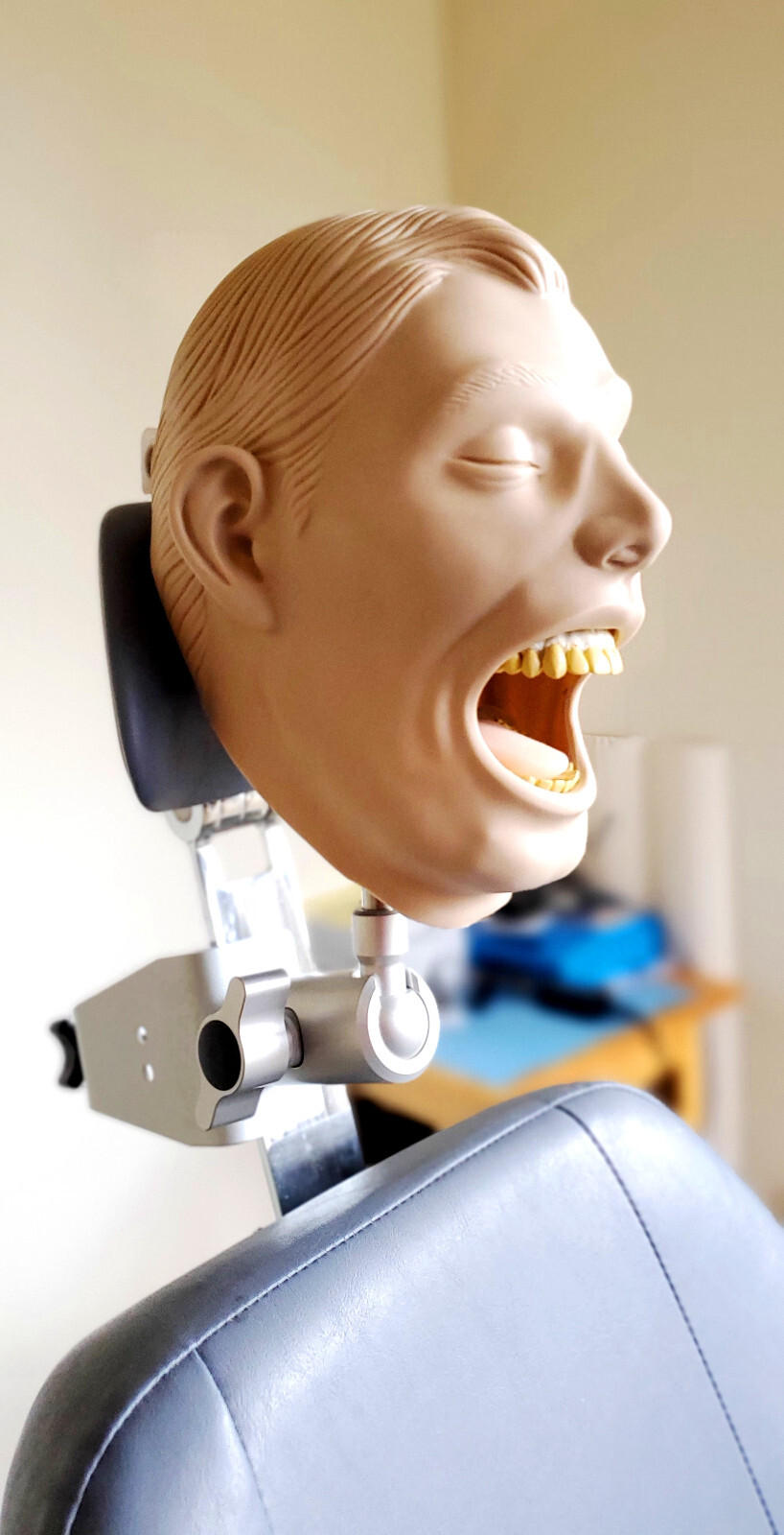 Dental Teeth X-Ray MANIKIN Practice Exam Adult Simulator Training Phantom