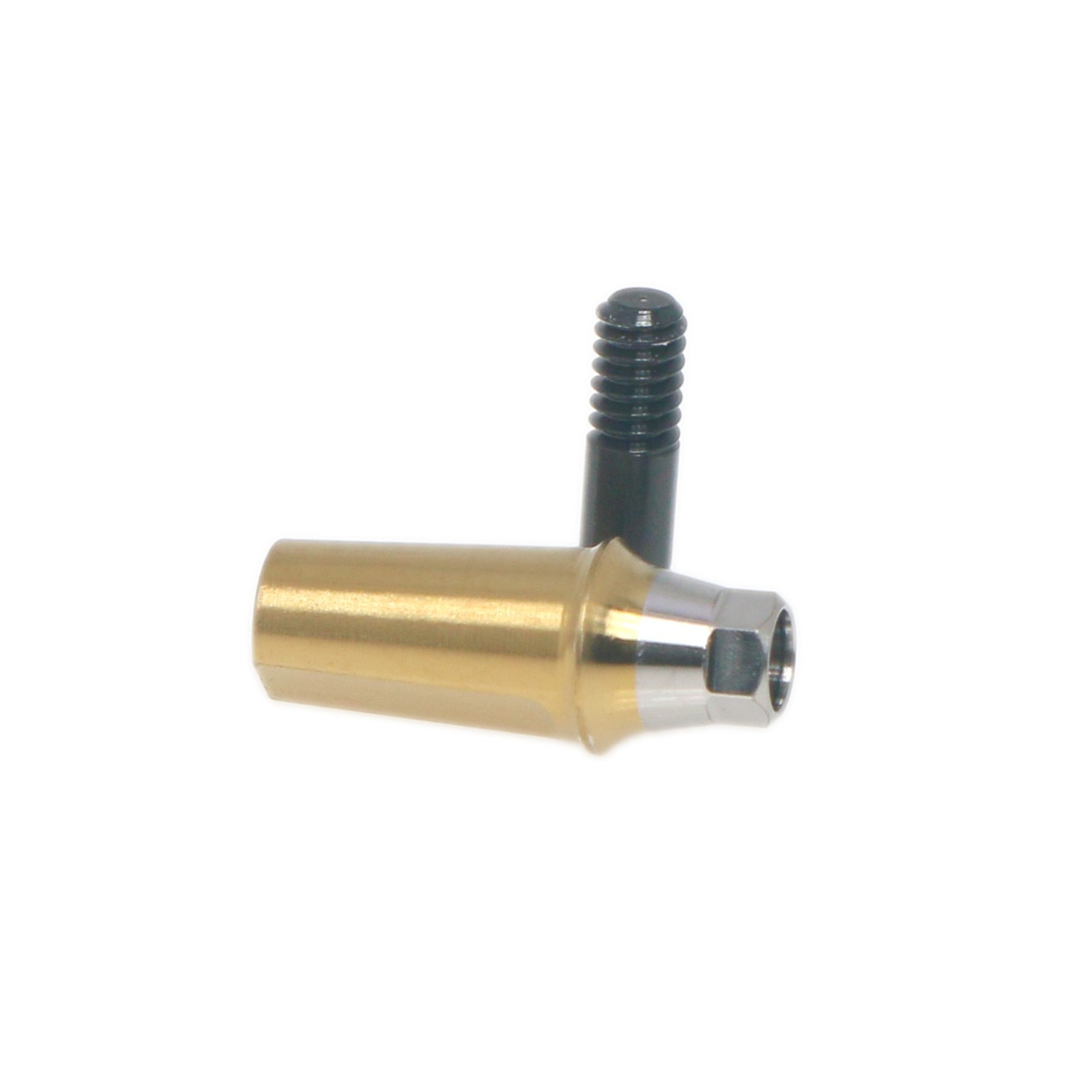 Titanium Straight Abutment Compatible with Osstem Hiossen TS Regular DIO UFII R