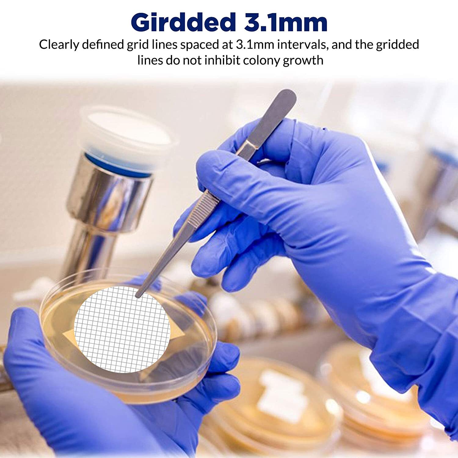10000pcs MCE Gridded Membrane Filter 47mm 0.45um Mixed Cellulose Ester Sterile