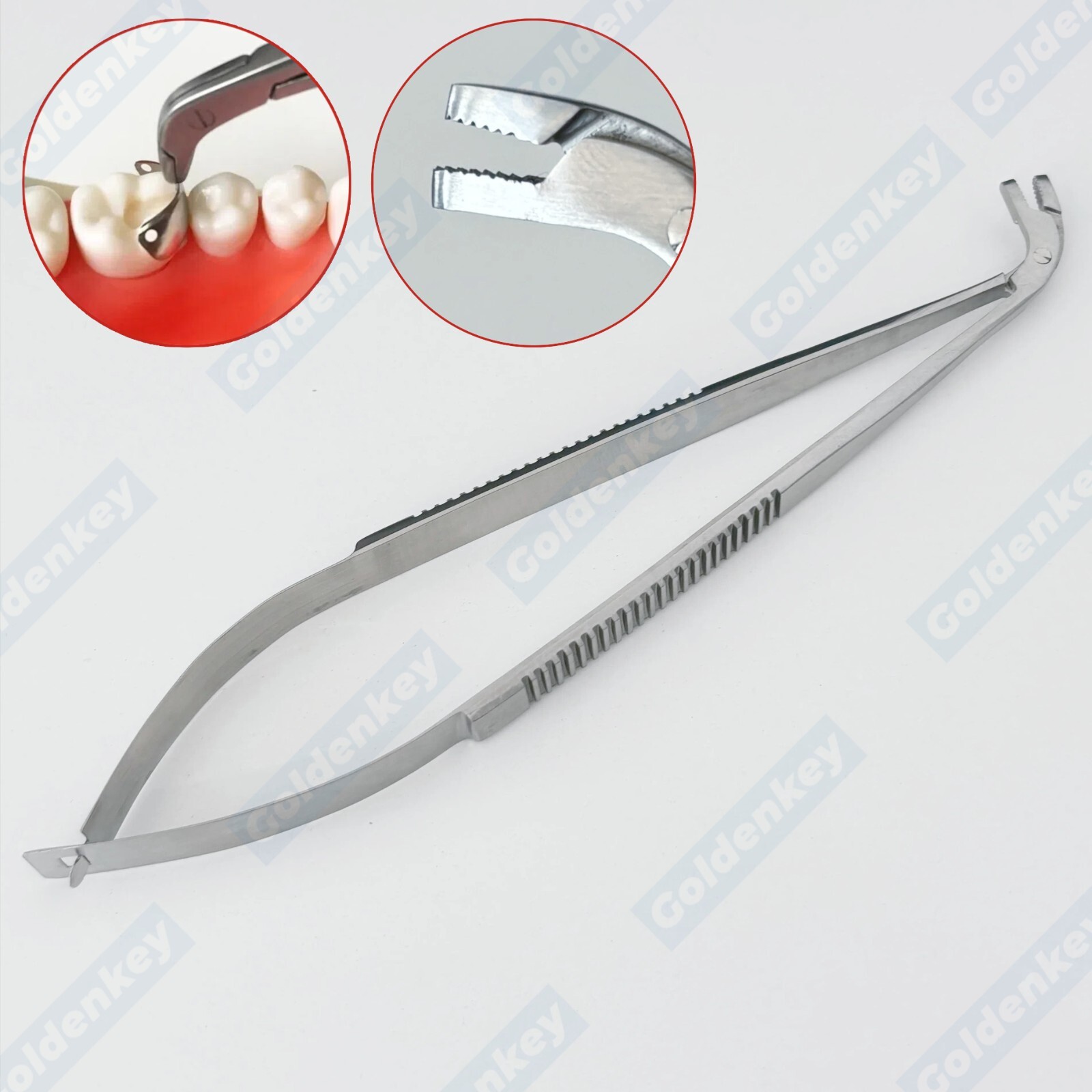 Dental Matrix Forceps Holder Clamp Matrices Tweezer Matrix Bands Placing Plier