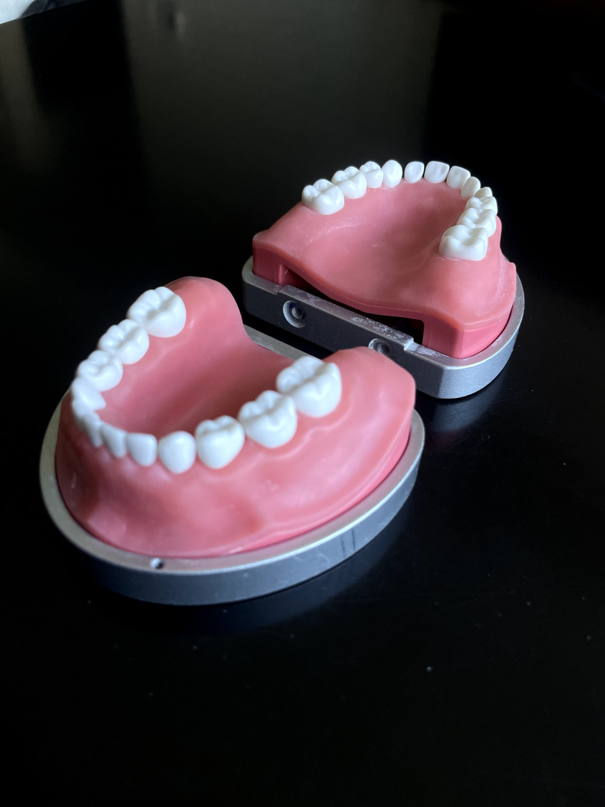 Acadental ModuPRO Pedo Articulator with Replacement Teeth