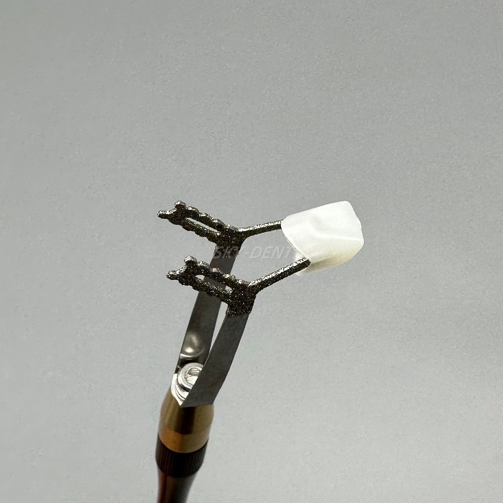 Zirconia Crown Holder Dental Posterior/Anterior Crown Bridge Placer Remover