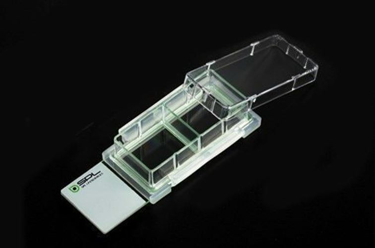 SPL Cell Culture Chamber slide, 2 wells, Flux slide, PS frame, PP holder