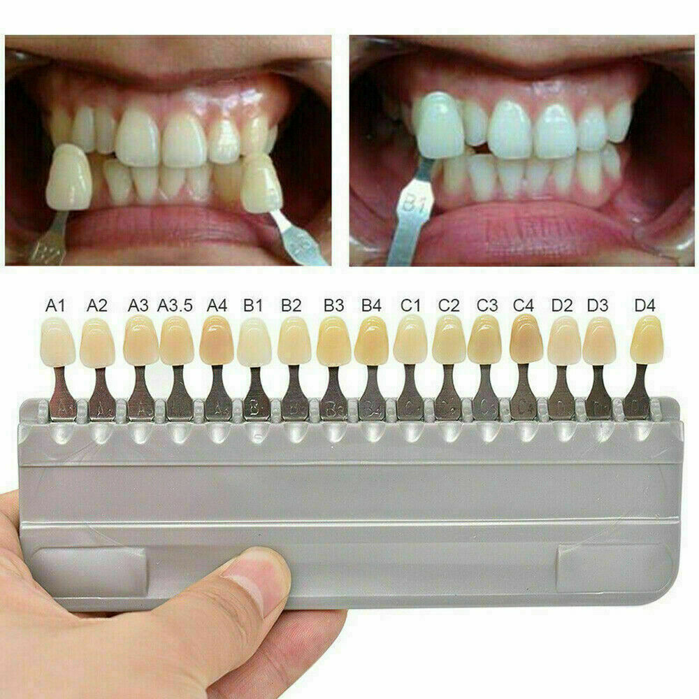 Vitapan VITA Classical Shade Guide A1-D4 with 16 Natural Tooth Colors