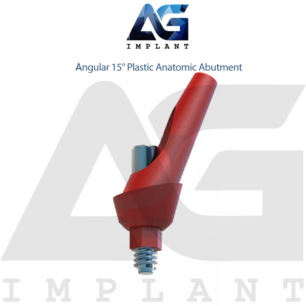 10 Angular 15° Plastic Anatomic Prosthetic System Casting Int Hex 2.42mm