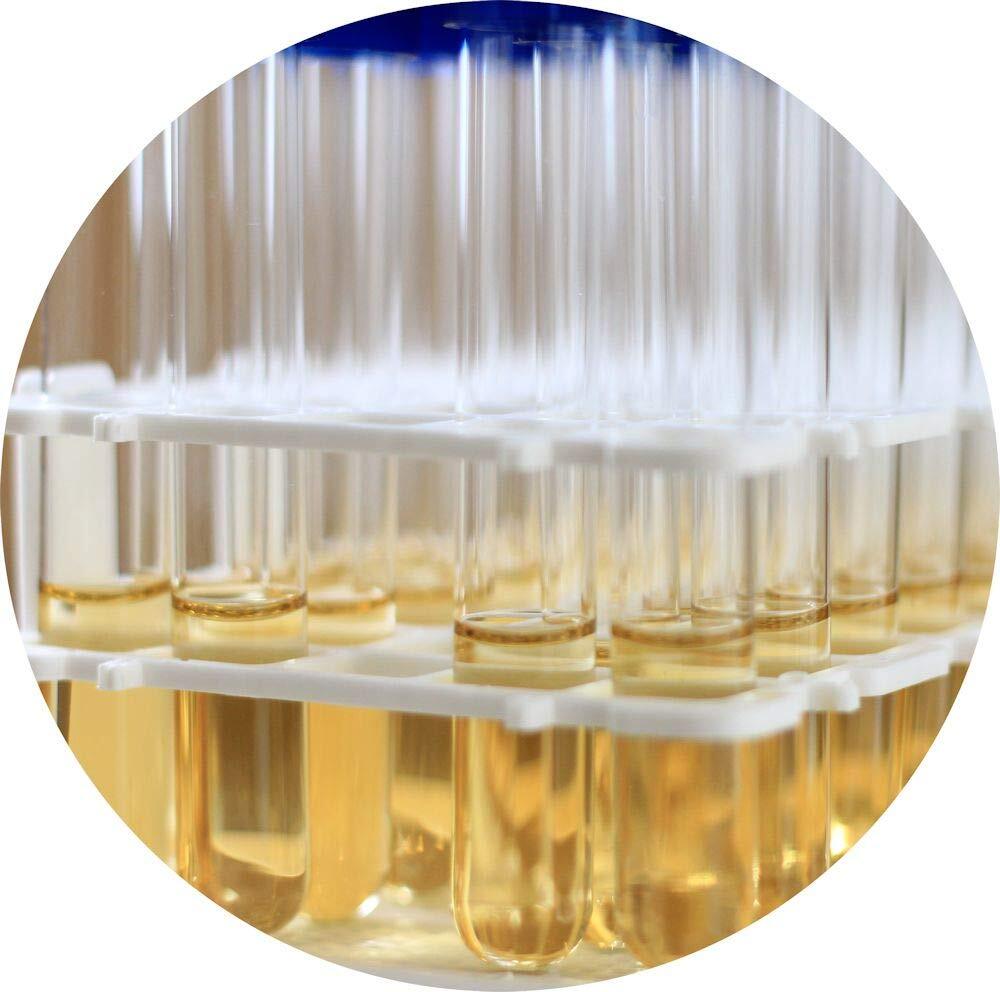 Chemical Test Strip For Steam Sterilizers Fast Results Biological Monitoring Kit