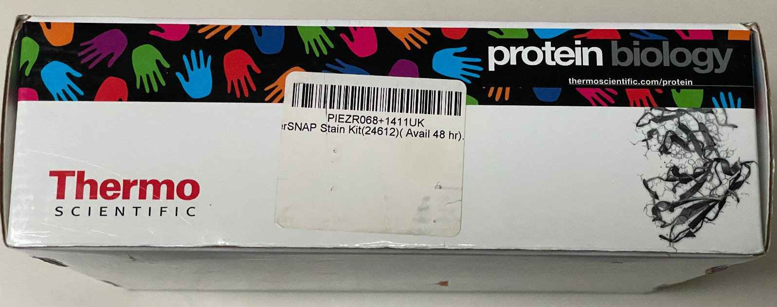 Thermo Scientific Pierce Silver Stain Kit 24612