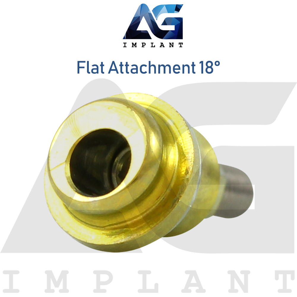 Angled 18° Flat Attachment Standard Silicone Set Titanium Int Hex 2.42mm