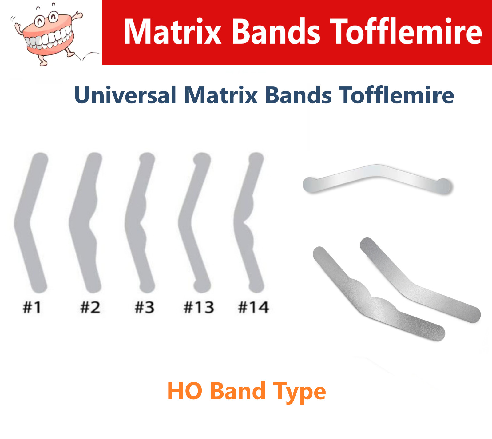Dental Universal Tofflemire Matrix Bands Stainless Steel Adult / Pedo 12-144/Pk
