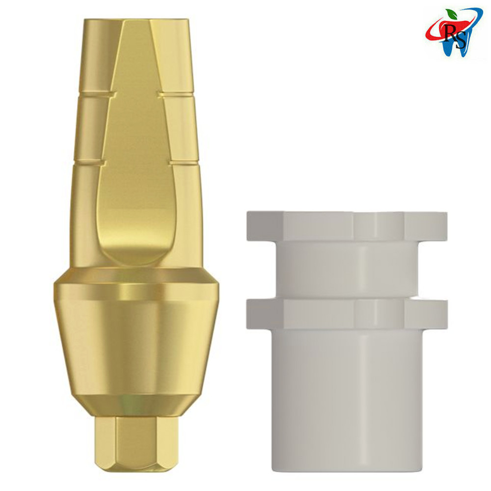10pcs Dental Straight Snap On Anatomic Transfer Internal Hex 2.42mm Prosthetics