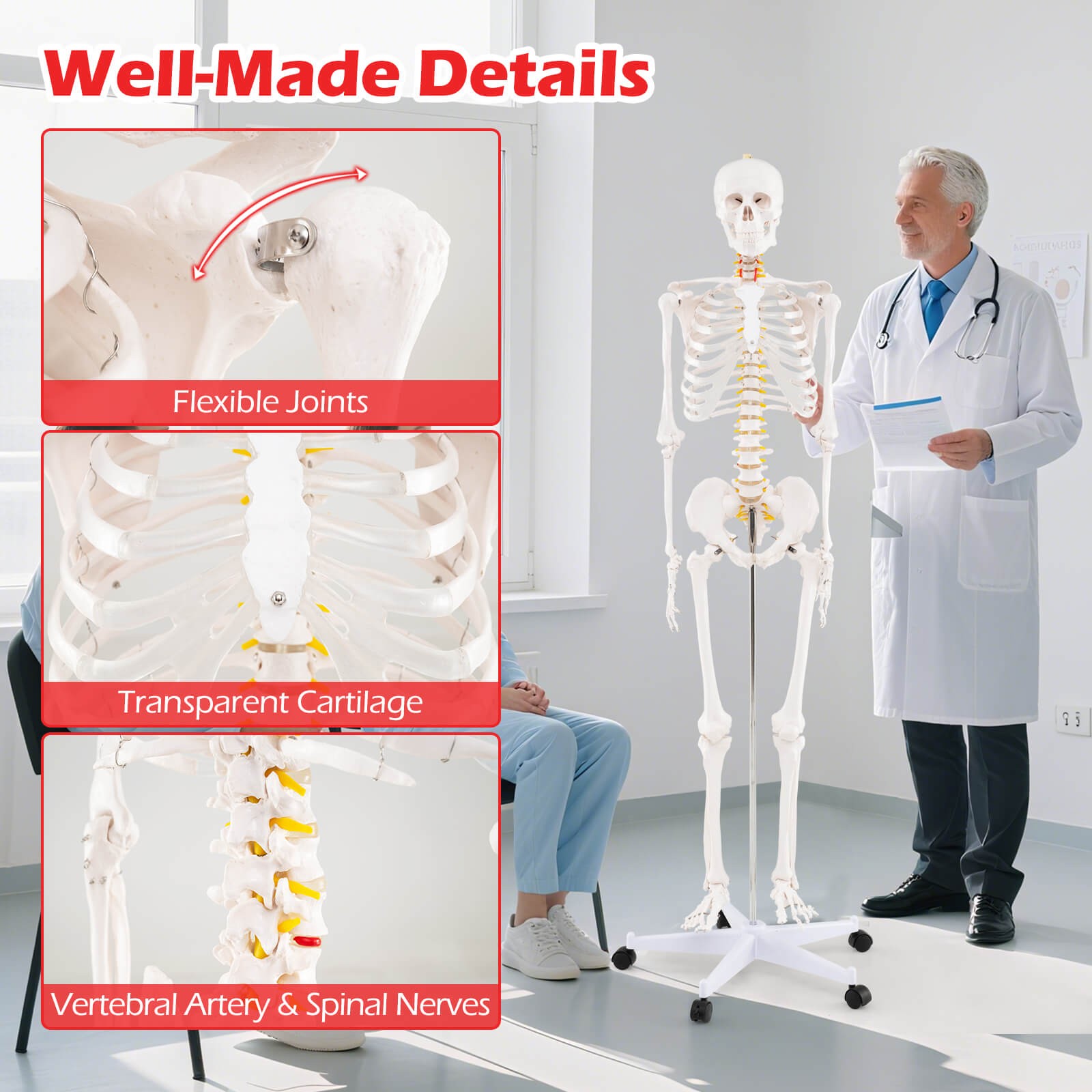 70.8″ Life-size Skeleton Model Medical School Human Anatomy W/Rolling Stand