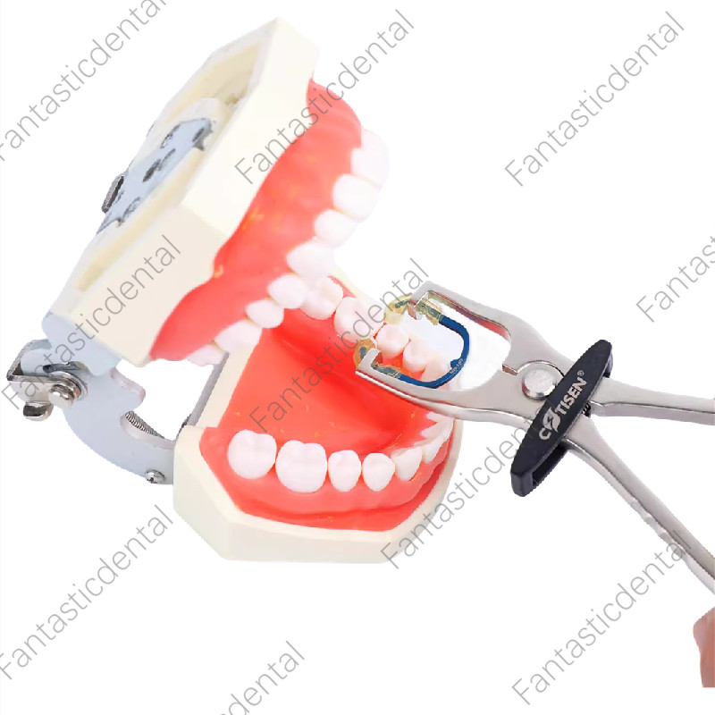 Dental Matrix Ring Sectional Titanium Clamp Forceps Placement Fits Palodent V3