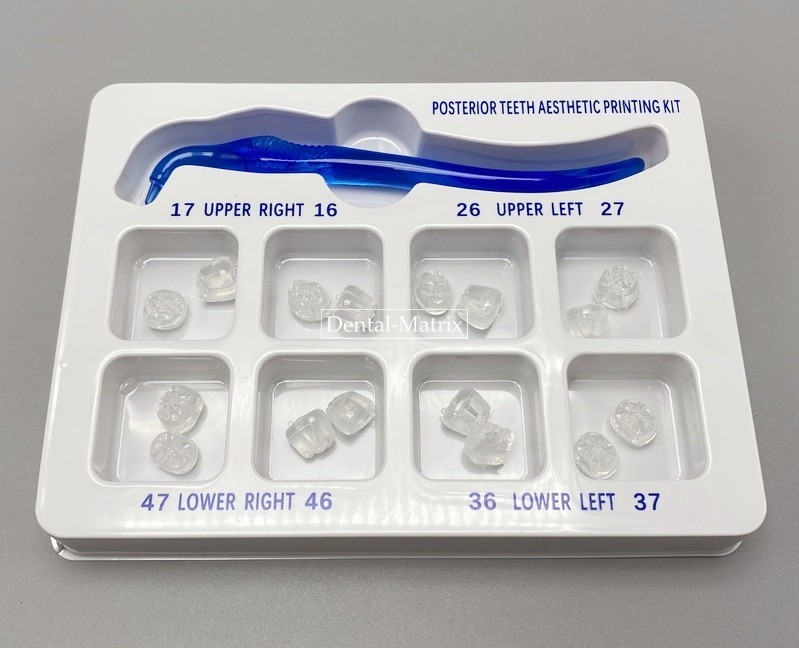 Dental Veneers Mould Composite Resin Anterior Posterior Teeth Molar Restoration