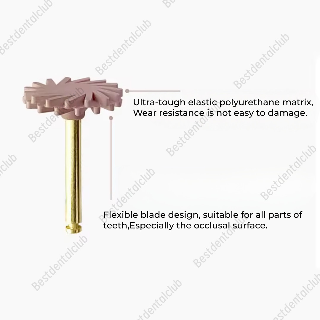 6Pc Dental Composite Polishing Wheel Kit 2-Step Polishing Diamond System RA Disc