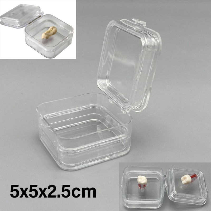 Denture Storage Box Plastic denture Tooth Boxes Membrane Tooth Clear Display
