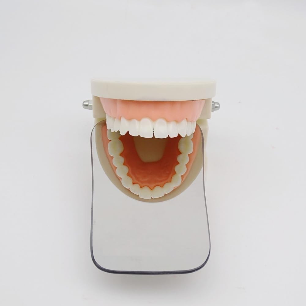 NaYiissi 2 Sided Dental Photography Mirror, Intraoral Rhodium Plated Silver